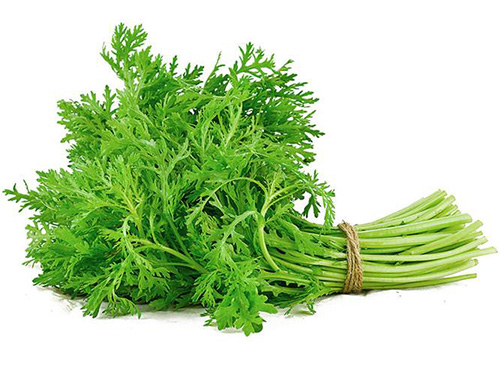 初春野菜味道香，吃法正確才健康